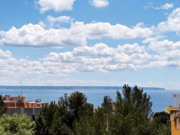 Apartment Of 88 M² In Palma De Mallorca, Spain