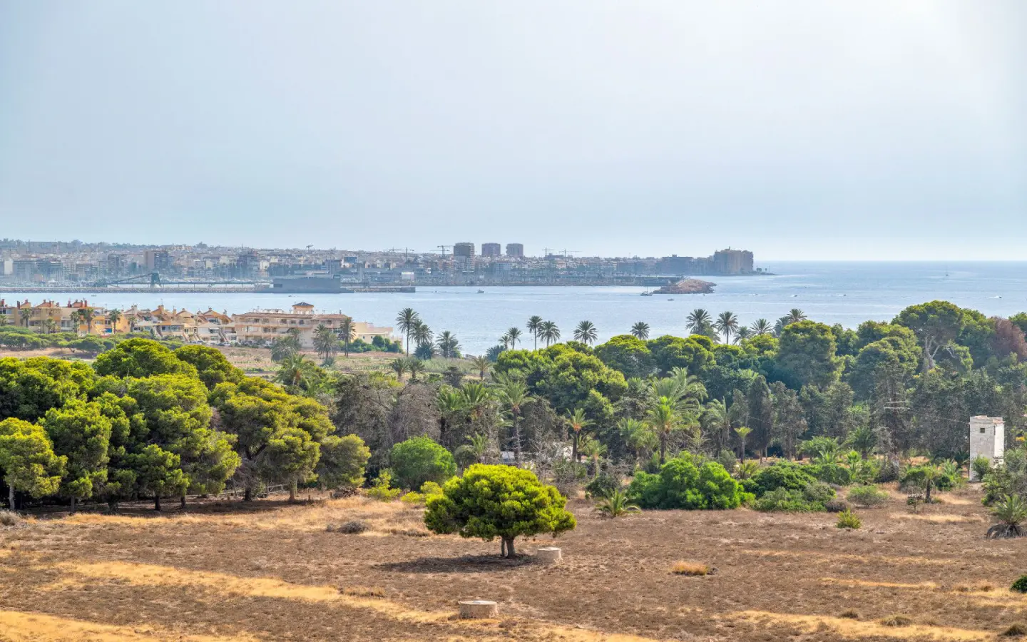 Apartment Of 70 M² In Torrevieja, Spain