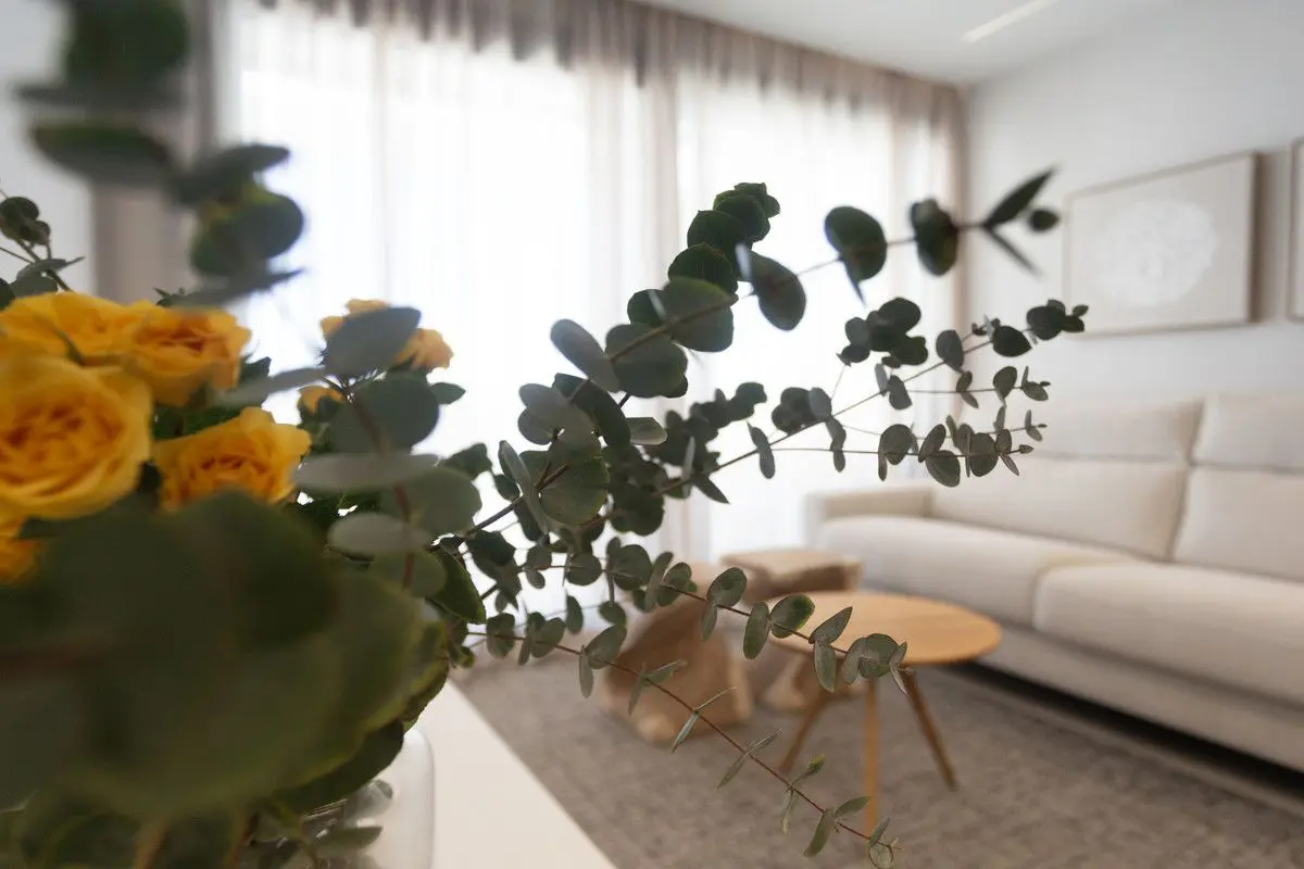 Apartment Of 85 M² In Denia, Spain