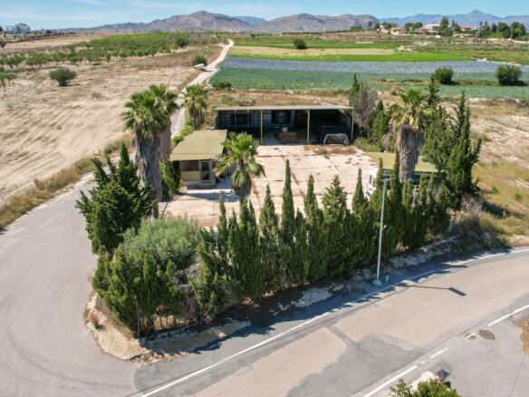 Equestrian & Olive Estate: Mediterranean Living – Alicante