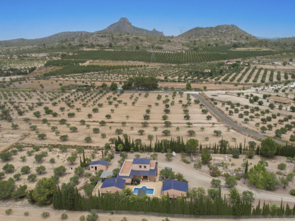 Mediterranean Villa Of 700 M² With Multi-functional Retreat In Salinas/sax, Alicante