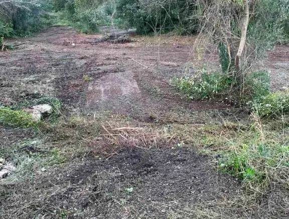Land Of 4028 M² In Corfu