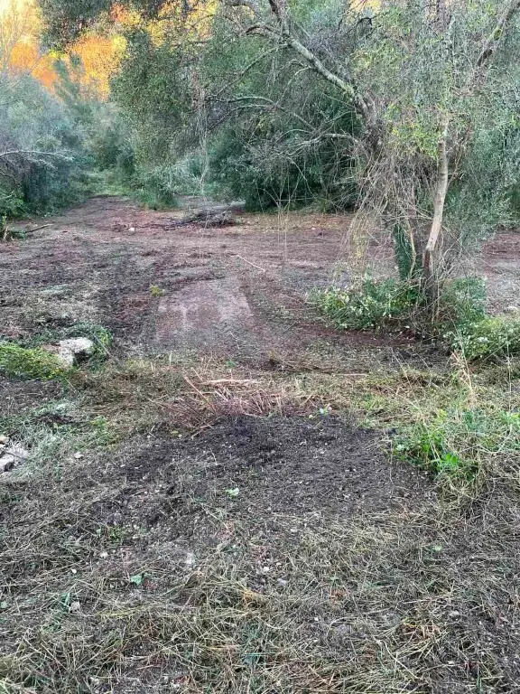 Land Of 4028 M² In Corfu