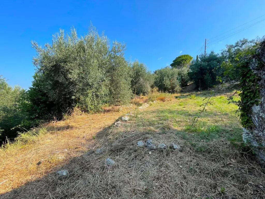 Land Of 1047 M² In Corfu