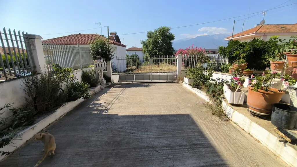 Complex Of 510 M² On The Olympic Coast