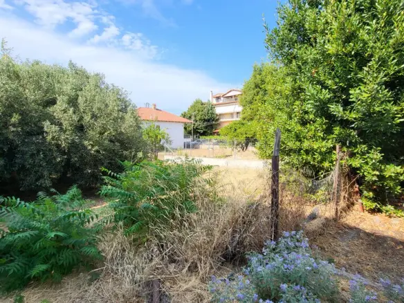 Detached House Of 81 M² In Kassandra, Chalkidiki