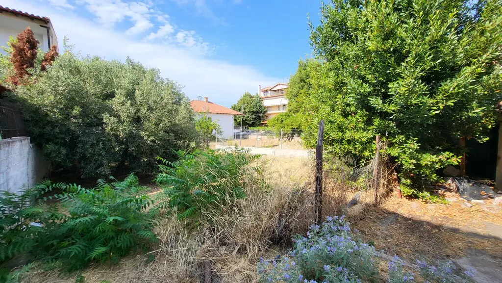 Detached House Of 81 M² In Kassandra, Chalkidiki