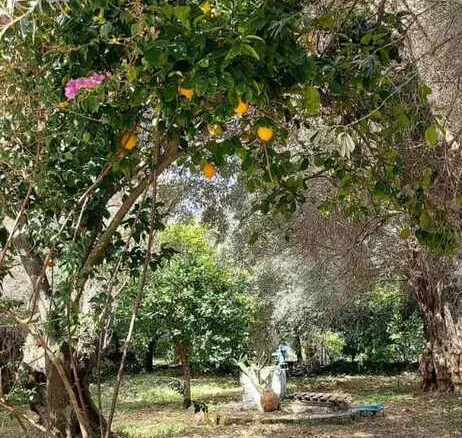 Detached House Of 56 M² In Volos-pilio