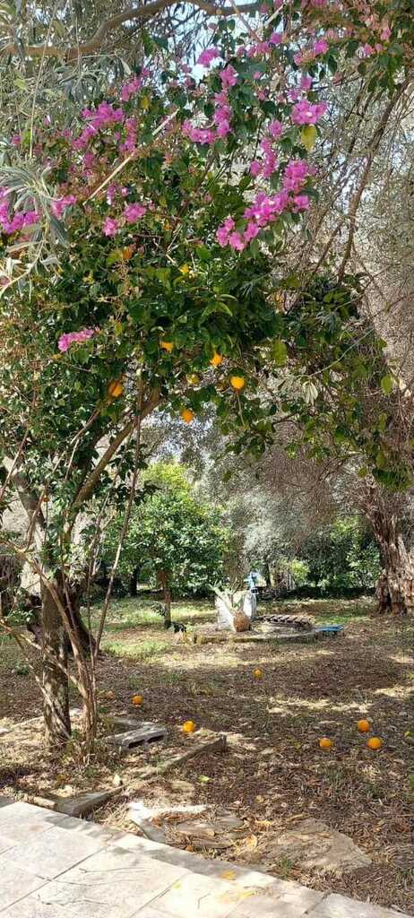 Detached House Of 56 M² In Volos-pilio