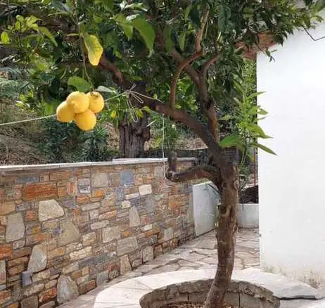 Detached House Of 56 M² In Volos-pilio