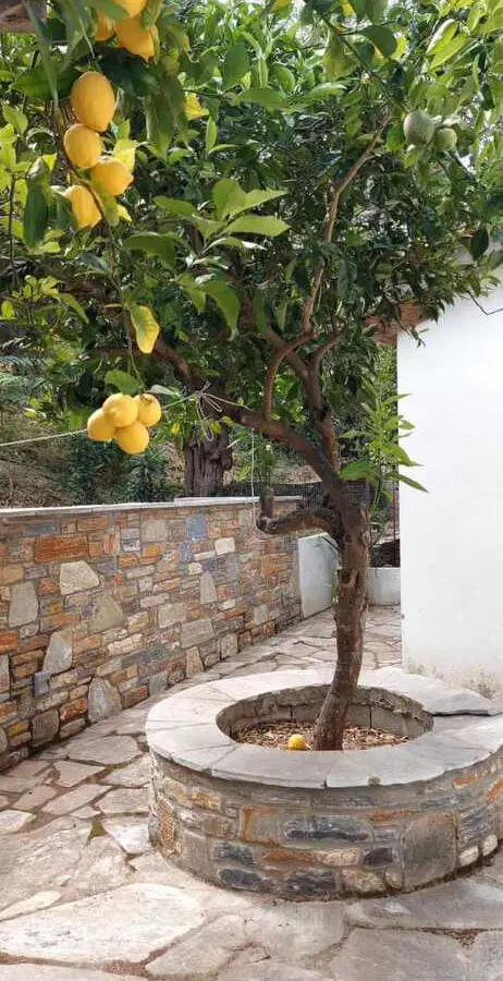 Detached House Of 56 M² In Volos-pilio