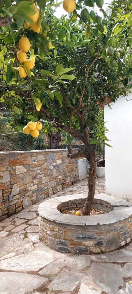 Detached House Of 56 M² In Volos-pilio