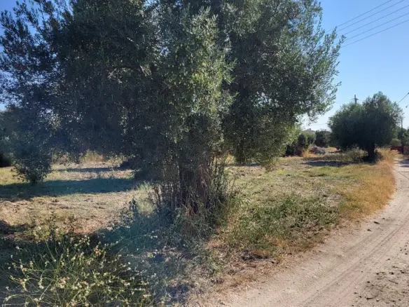 Land Of 3500 M² In Kassandra, Chalkidiki