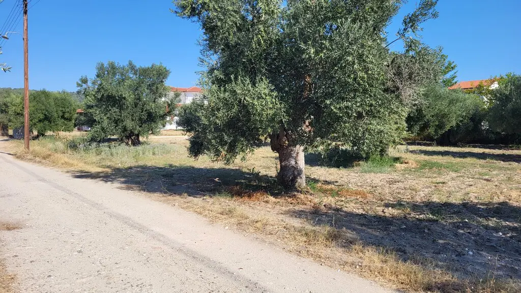 Land Of 3500 M² In Kassandra, Chalkidiki