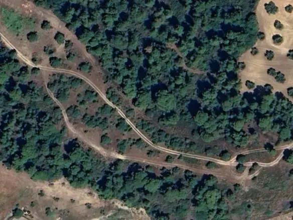 Land Of 14000 M² In Kassandra, Chalkidiki