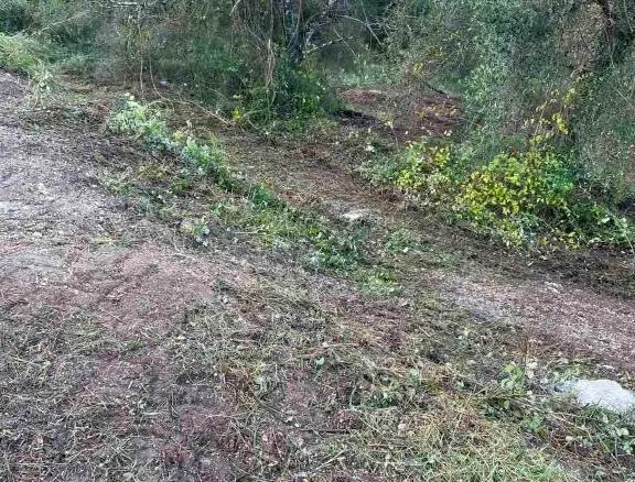 Land Of 4028 M² In Corfu
