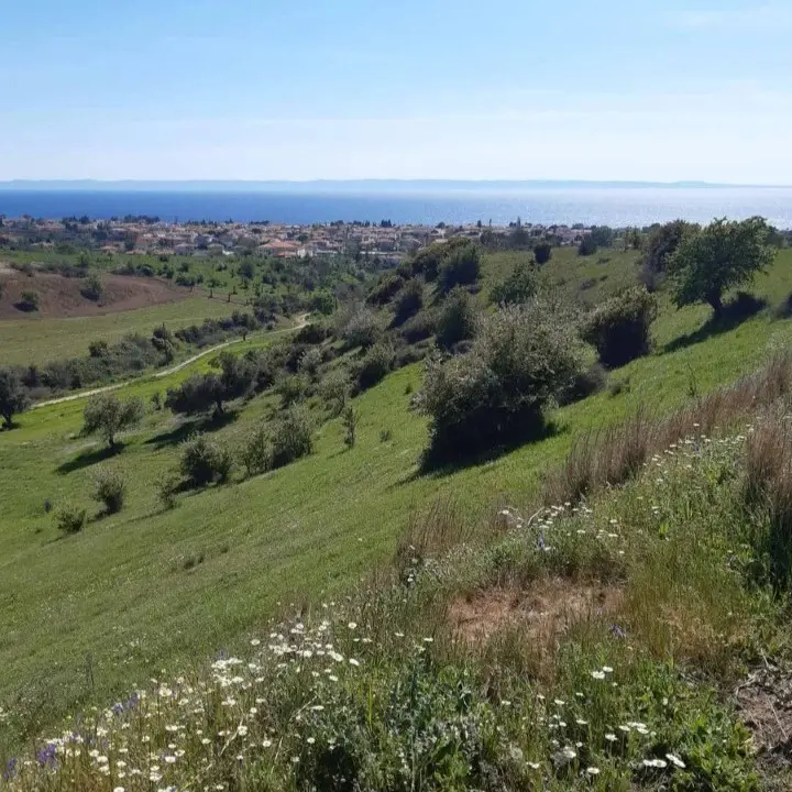 Land Of 2233 M² In Sithonia, Chalkidiki