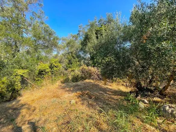 Land Of 1047 M² In Corfu