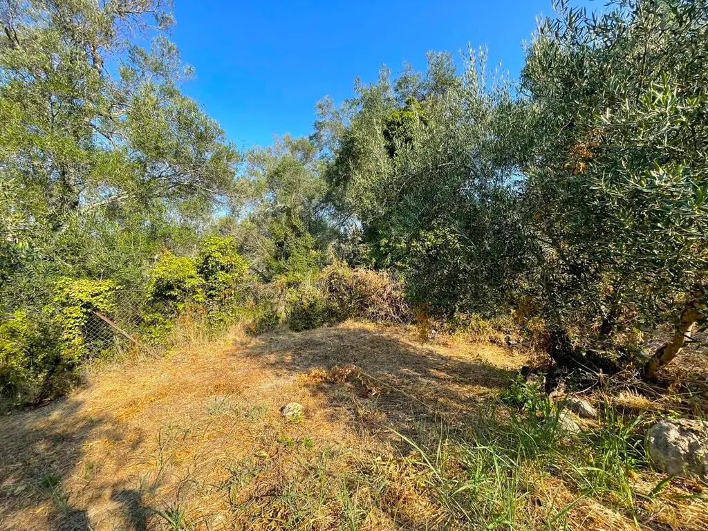 Land Of 1047 M² In Corfu