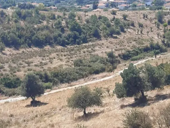 Land Of 2233 M² In Sithonia, Chalkidiki