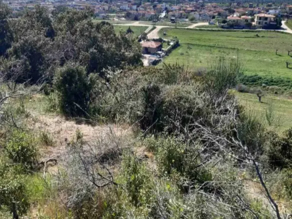 Land Of 2233 M² In Sithonia, Chalkidiki