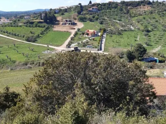 Land Of 2233 M² In Sithonia, Chalkidiki