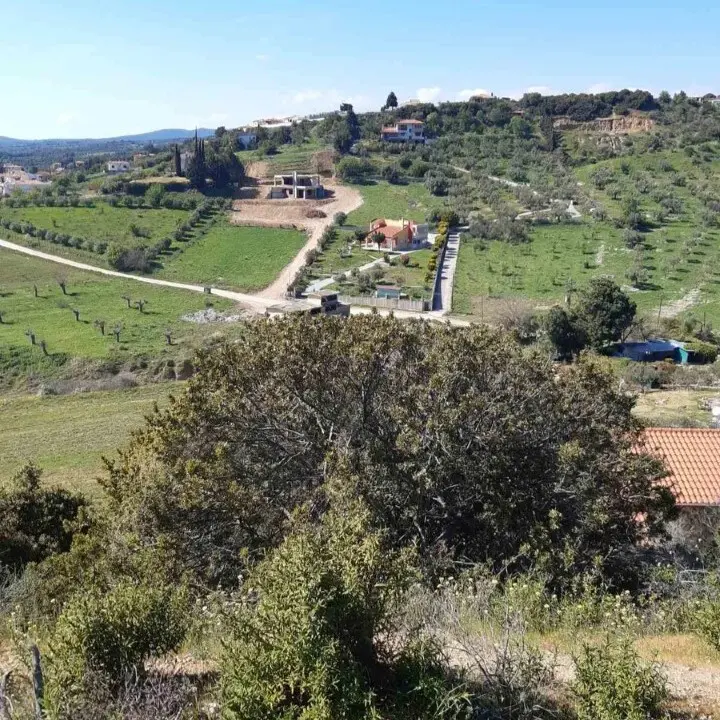 Land Of 2233 M² In Sithonia, Chalkidiki