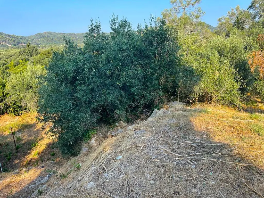 Land Of 1047 M² In Corfu
