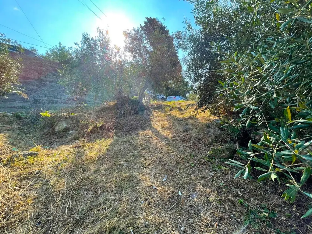 Land Of 1047 M² In Corfu