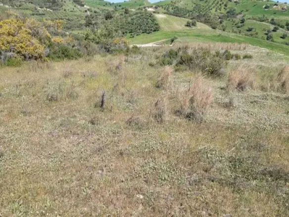 Land Of 2233 M² In Sithonia, Chalkidiki