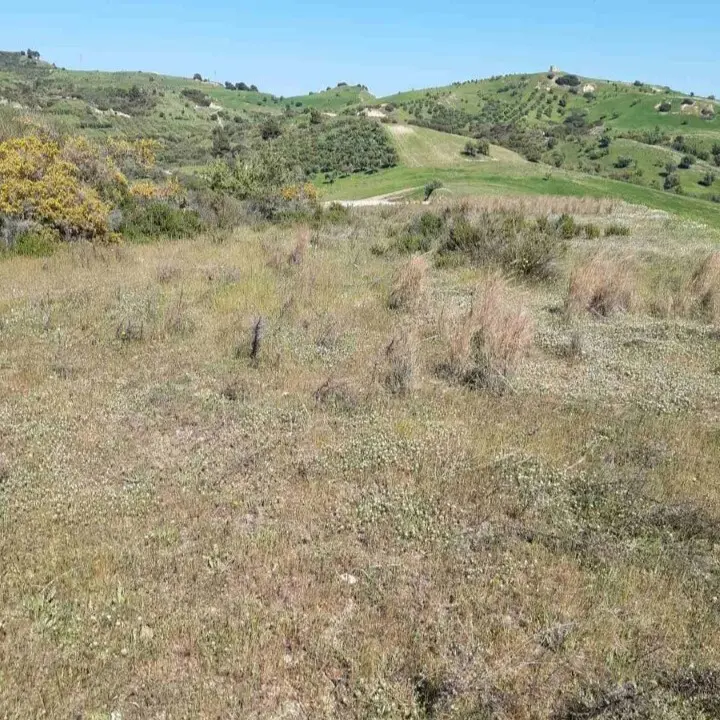 Land Of 2233 M² In Sithonia, Chalkidiki