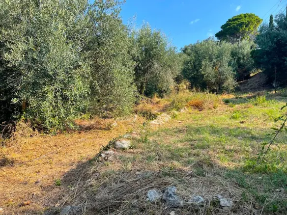 Land Of 1047 M² In Corfu