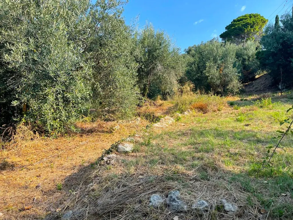 Land Of 1047 M² In Corfu