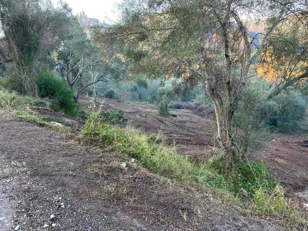 Land Of 4028 M² In Corfu