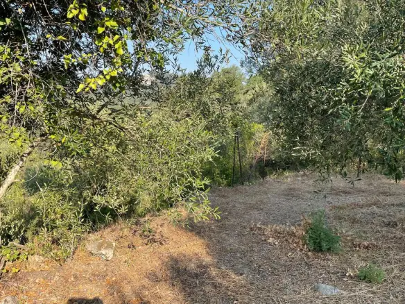 Land Of 1047 M² In Corfu