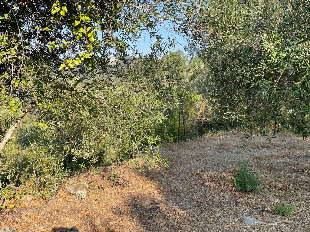 Land Of 1047 M² In Corfu