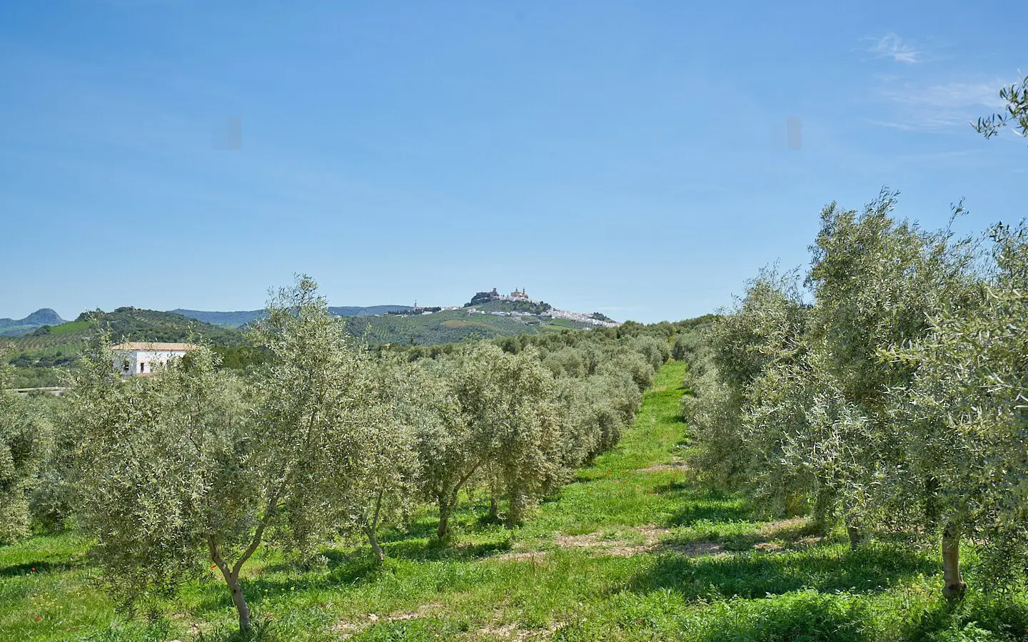Apartment Of 430 M² In Olvera, Andalusia