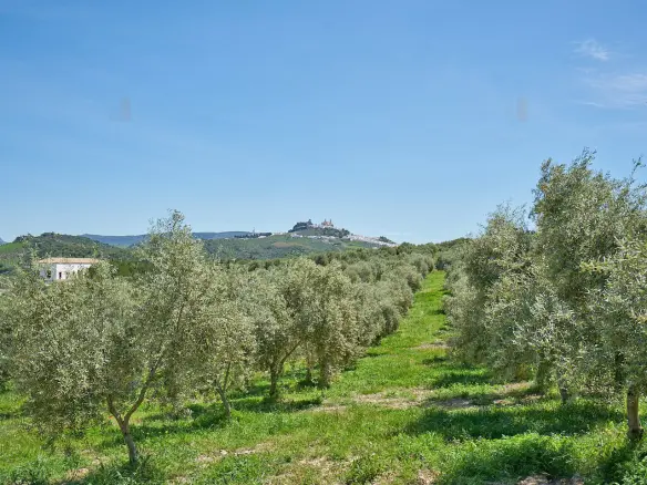 Apartment Of 430 M² In Olvera, Andalusia