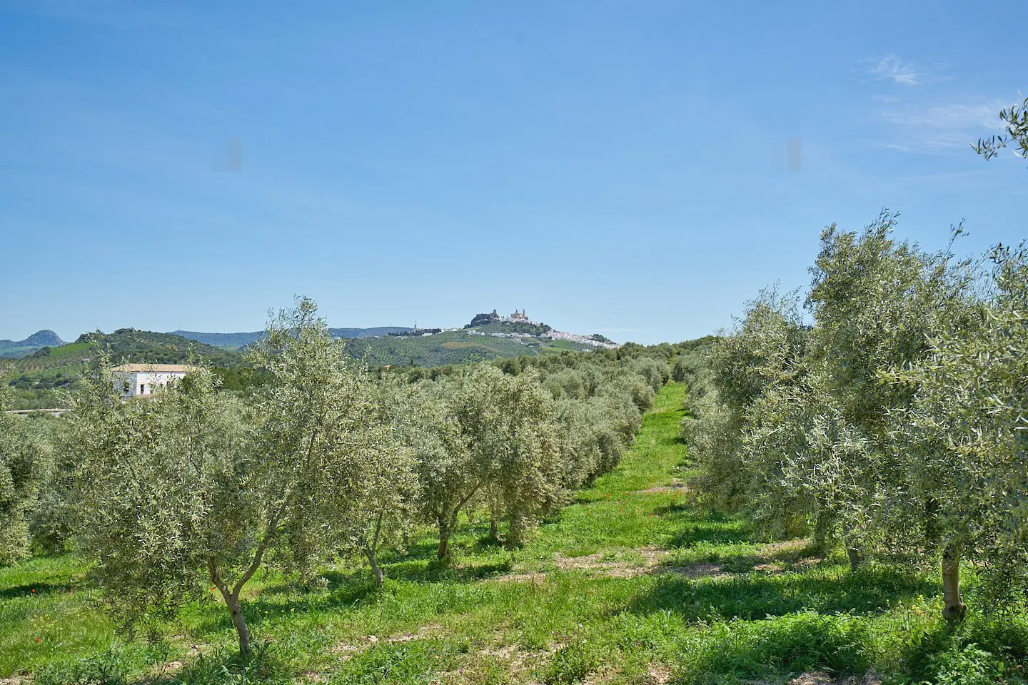 Apartment Of 430 M² In Olvera, Andalusia