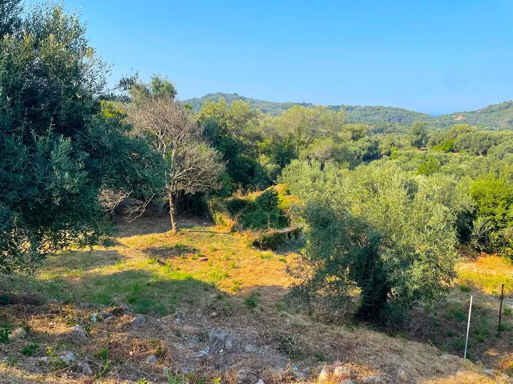 Land Of 1047 M² In Corfu