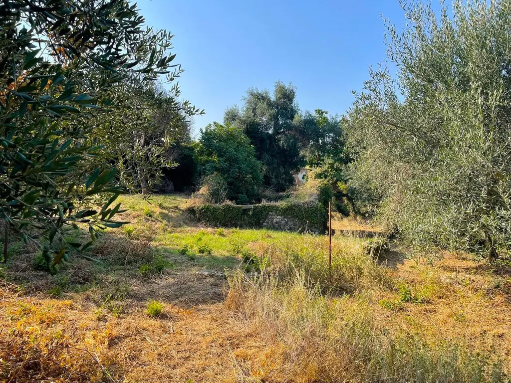 Land Of 1047 M² In Corfu