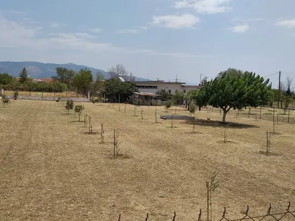 Commercial Property Of 487 M² In Thrace