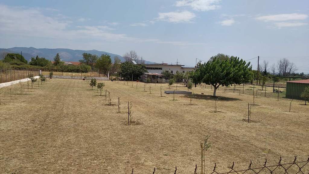 Commercial Property Of 487 M² In Thrace