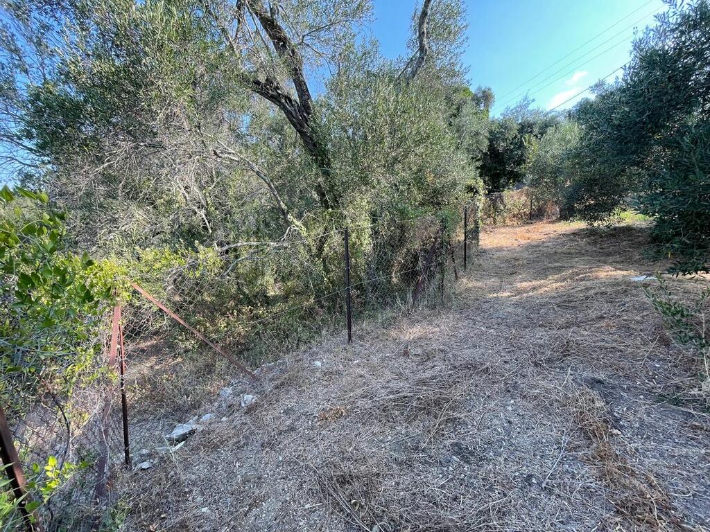 Land Of 1047 M² In Corfu