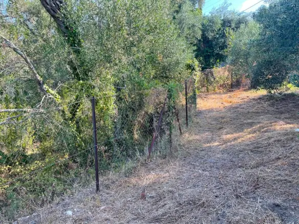 Land Of 1047 M² In Corfu