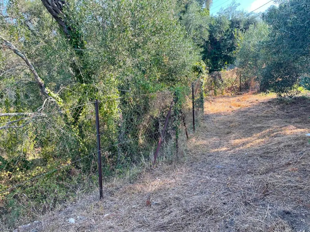 Land Of 1047 M² In Corfu