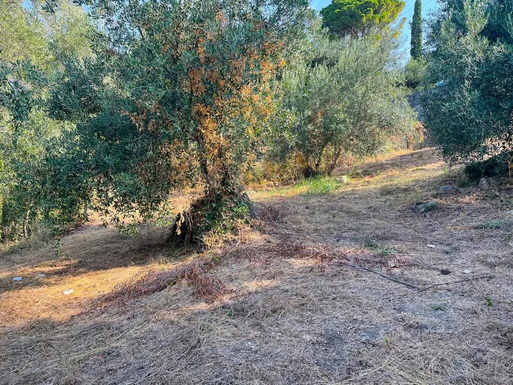 Land Of 1047 M² In Corfu