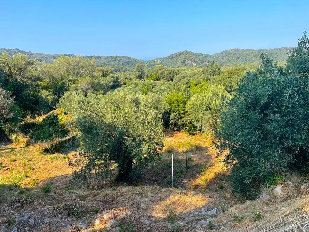 Land Of 1047 M² In Corfu