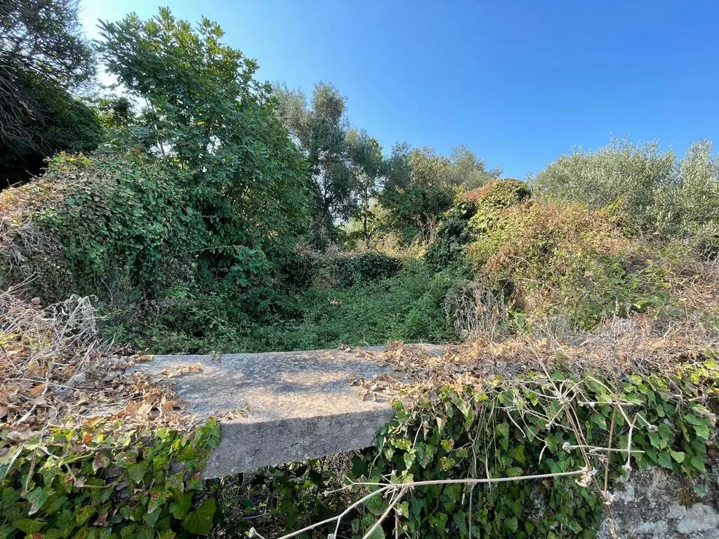 Land Of 1047 M² In Corfu
