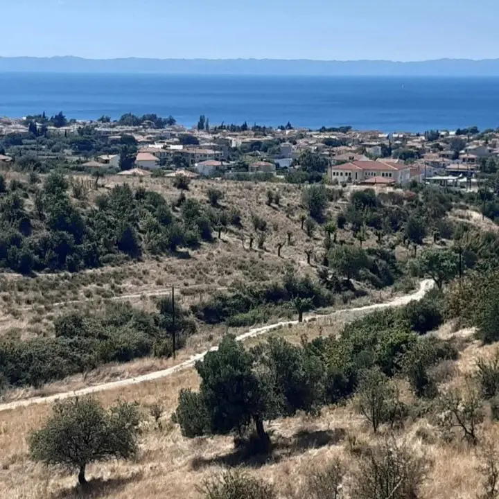 Land Of 2233 M² In Sithonia, Chalkidiki